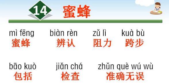 旷亮的近义词是什么荡漾的近义词是什么闲散的近义词是什么烂漫的近义词是什么，闲散的近义词（全书各单元基础重点超全整理）