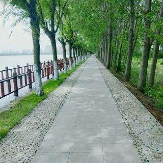 仔细地什么填合适的词，仔细地什么填合适的词二年级（认真地走路）