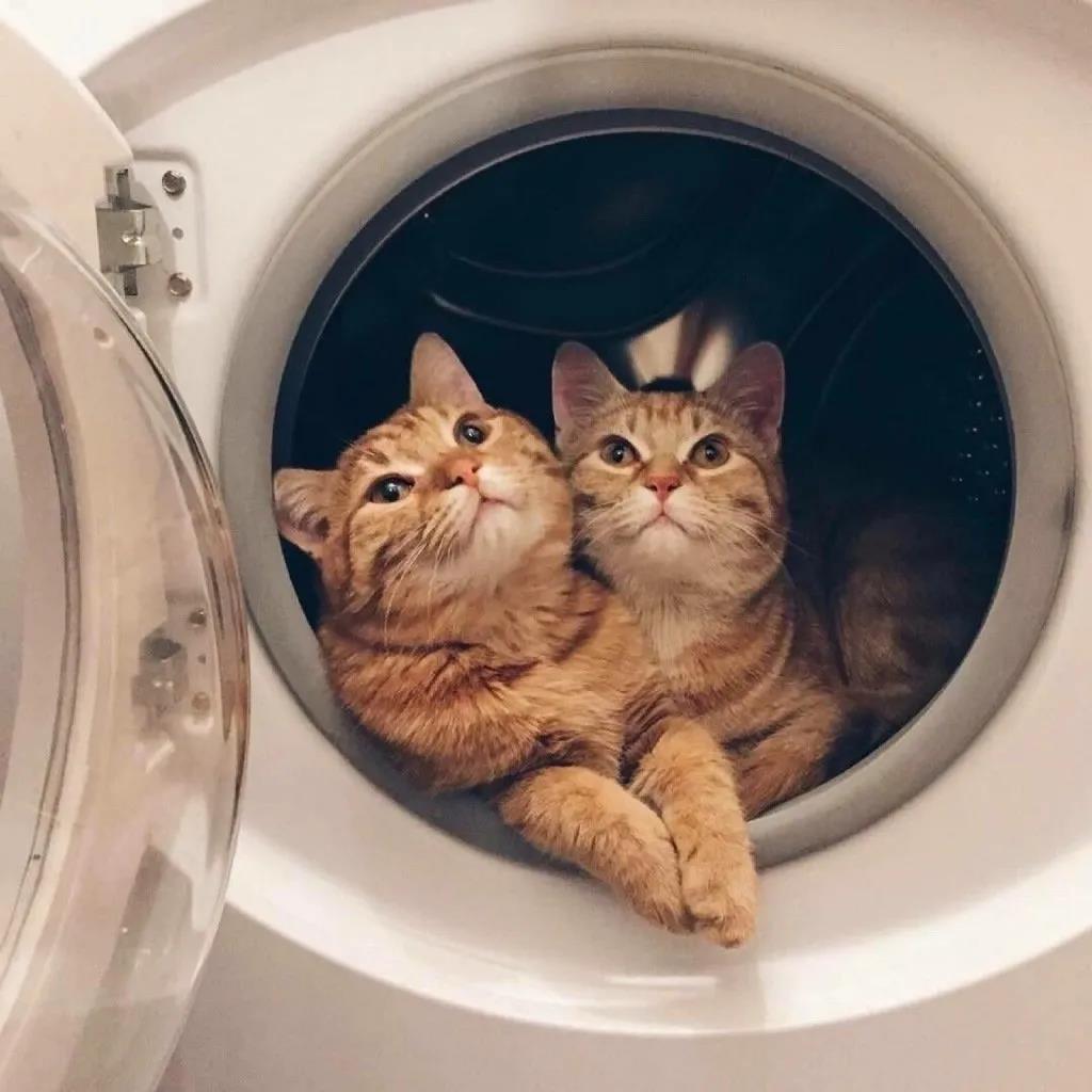 文艺图片 清新 简约 复古，复古背景图 文艺/无水印/暖色调     乔嬄，微信头像（氛围感复古背景图）