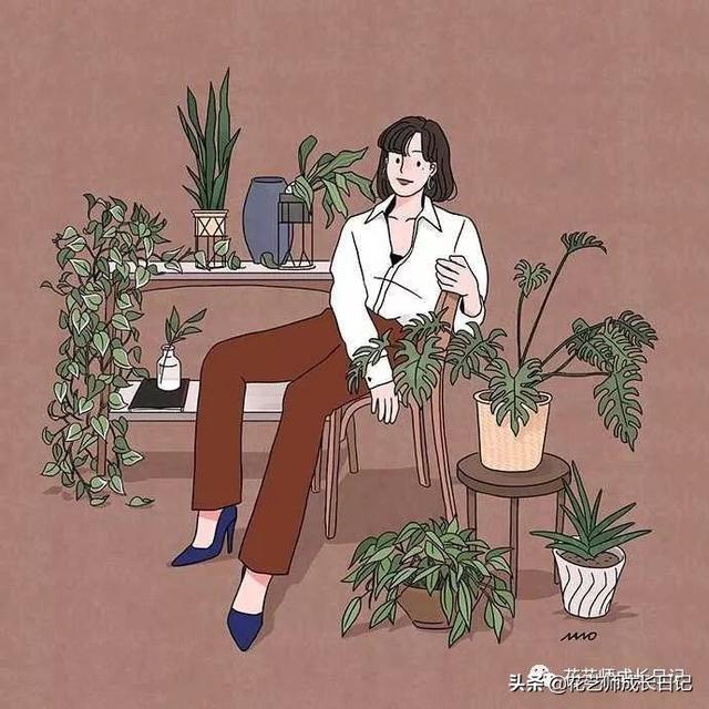 多头玫瑰花语，多头玫瑰花语是什么（白红交融的高级配色）