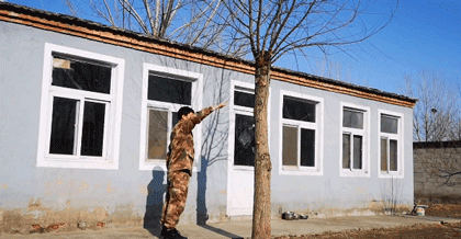 狸花猫是土猫吗，狸猫是土猫吗（那些年嘲笑狸花是小土猫的人）