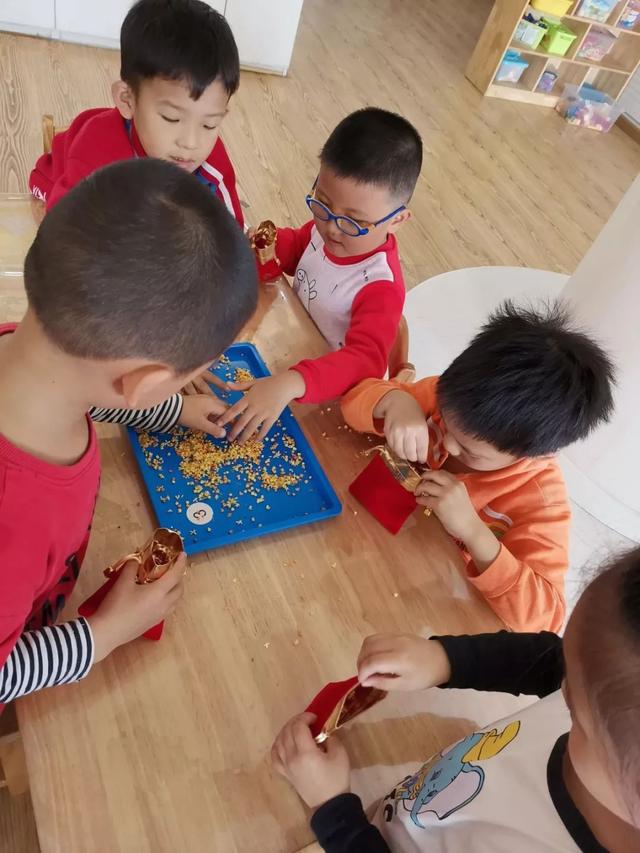 关于桂花的资料，桂花的资料（满园飘逸桂花香）