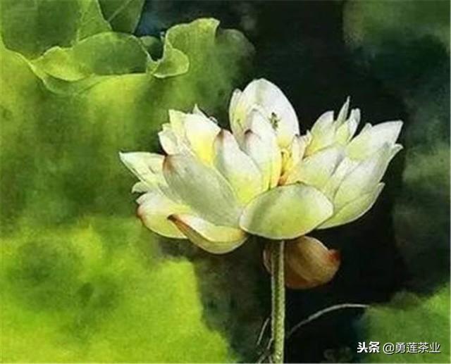 积善之家必有余庆，积善之家必有余庆出自哪里（积不善之家必有余殃）