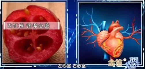 手上动脉在哪里，手上的动脉在哪里（血管好不好，自己看看手就知道）