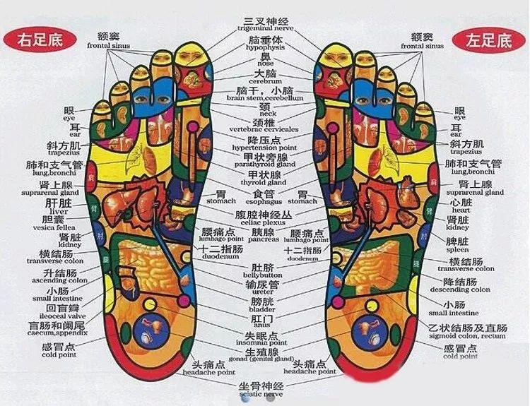 美克斯（脚上老茧死皮不好看）