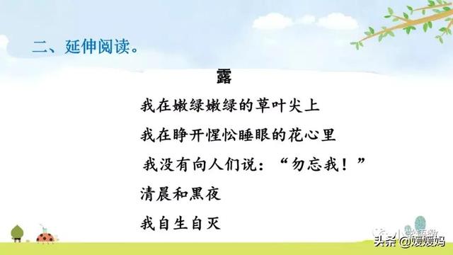 悠扬的近义词，“悠扬”的近义词是什么（四年级下册语文第11课《白桦》图文详解及同步练习）