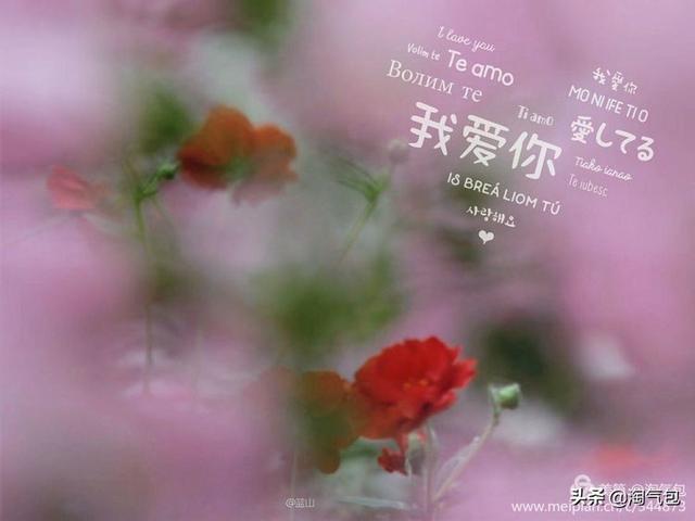 12个月都有什么情人节，二月没过情人节的今天补上