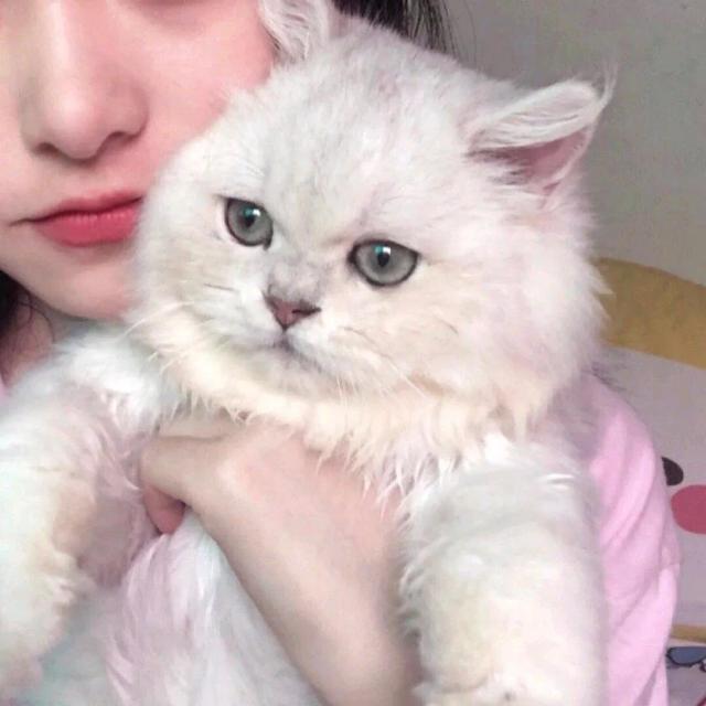 男朋友不是人系列情头一对，男朋友不是人系列了/情头微信（情侣头像，男朋友不是人系列）