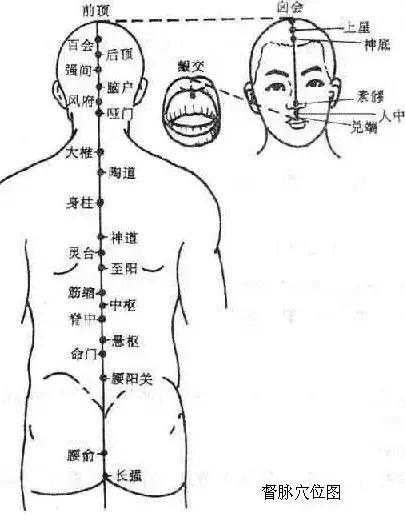 奇经八脉图解，详解奇经八脉！<收藏再看>