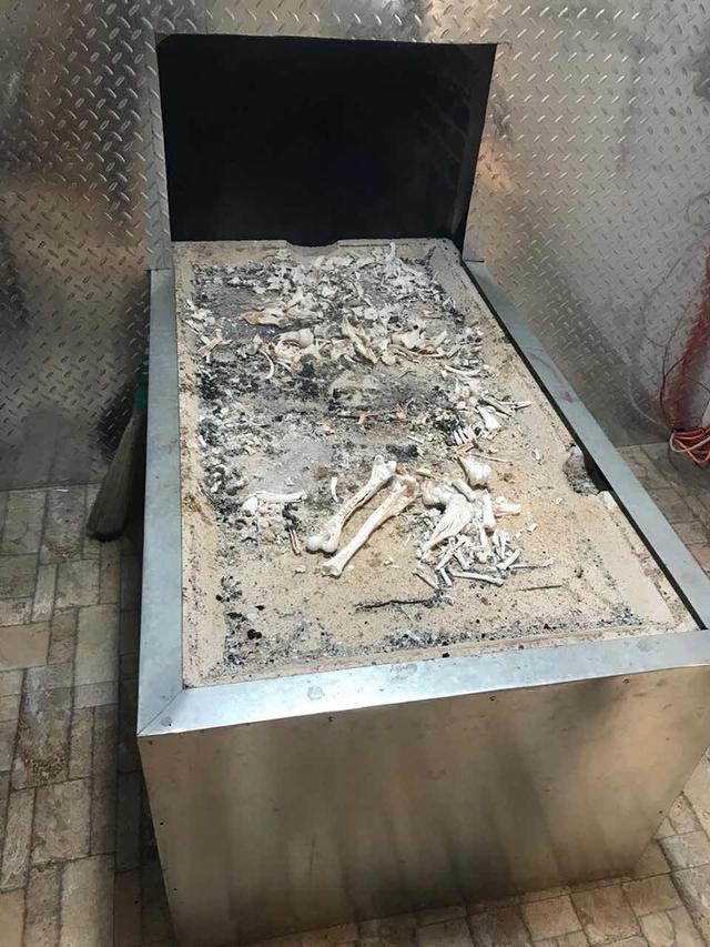 火化场是怎么火化人的,火化场是怎么火化人的 视频(火葬场火化是一个