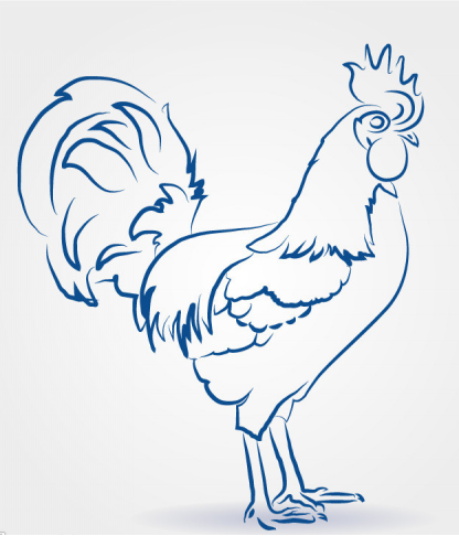 儿童简笔画公鸡冷暖色(儿童简笔画一只公鸡)-米亚号