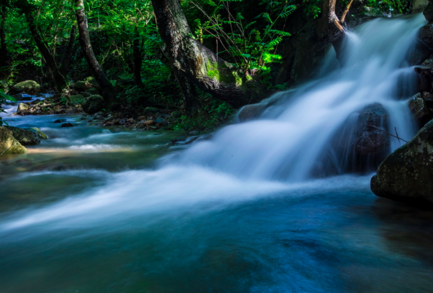 弹琴复长啸的意思，弹琴复长啸的啸字是什么意思（其中5字富含禅机）