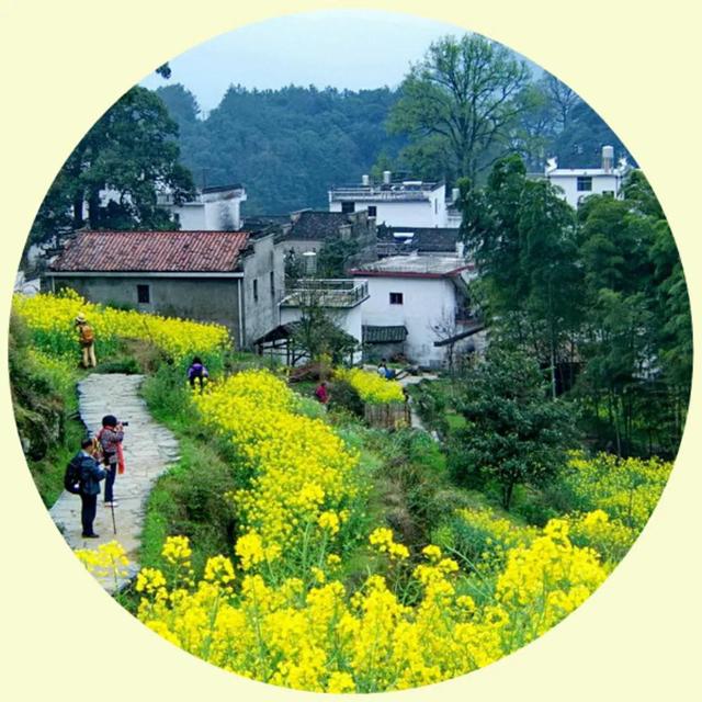 风景照片图片大全，微信头像，风景照片图片大全（令人心旷神怡的美景）