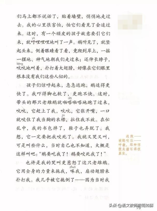 批注怎么显示在旁边，wps批注（小学生怎样给文章做批注）