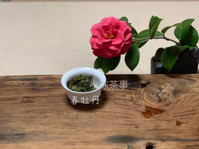白牡丹茶怎么泡，白牡丹是什么茶（白茶春牡丹和秋牡丹）