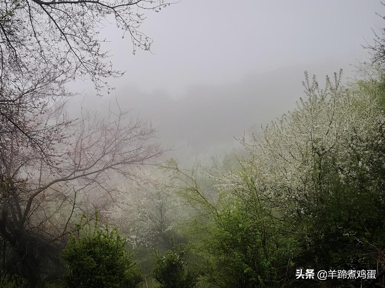 大西沟旅游风景区(辽阳大西沟旅游风景区)
