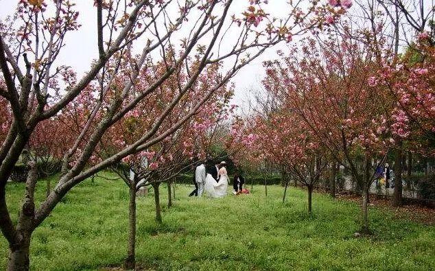 湖北省黄冈的区号是多少，黄冈地区的区号是多少（湖北这5个地方被国家看上）