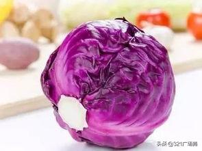 怎么区分包菜和绿甘蓝，怎样区分甘蓝和包菜（紫色包菜和绿色包菜价钱差得远）