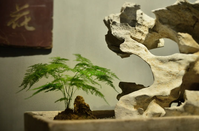 女生办公桌旺事业的风水摆件，女生办公桌旺事业摆件（办公桌空荡荡没精气神）