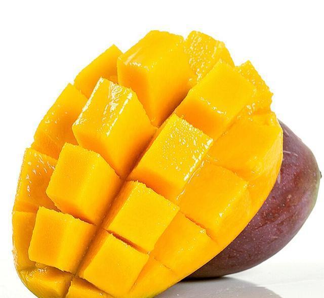 什么季节种植芒果最好，芒果什么时间种植比较好（芒果优质产区攀枝花的“巨无霸”）