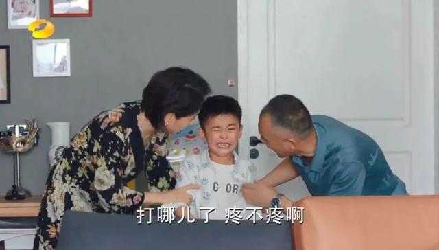 陶昕然是几婚，中国的“国民媳妇”这次终于抽到“王炸”了