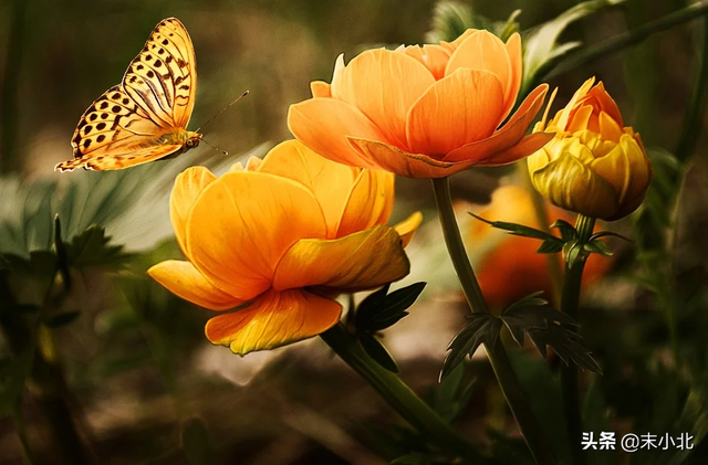 你嘴巴那么毒 心里一定特别苦，你嘴巴那么毒你男朋友有尿毒症吧（是一个人最大的恶意图片）