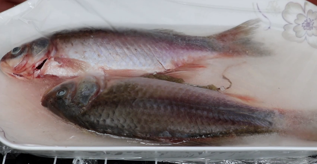 鱼肉保鲜技巧，鱼肉储存方法（不管解冻什么鱼）