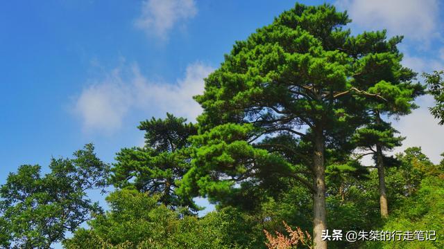 大别山在哪个省，为什么是大别山（把太多的资源都给了这座城）