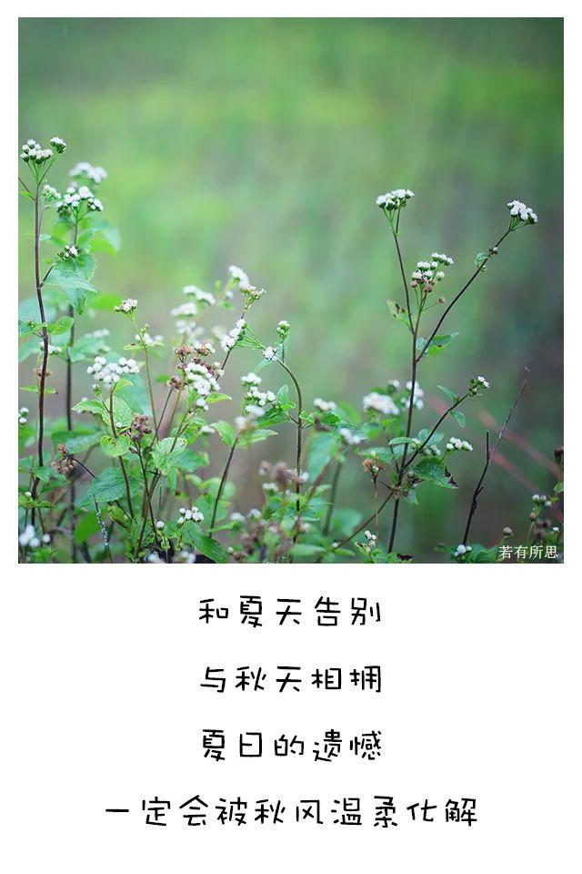 喜欢秋天的理由，我为什么喜欢秋天（秋天最像人生）