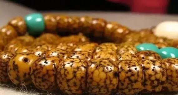 文玩为什么要用猪鬃刷，文玩为什么要用猪鬃刷子（文玩刷子为什么要用野猪鬃毛）