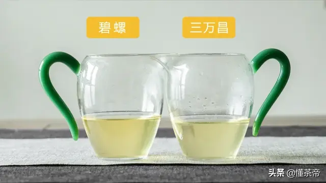 碧螺春品牌排行榜，碧螺春十大名牌（两大顶级碧螺春品牌PK）