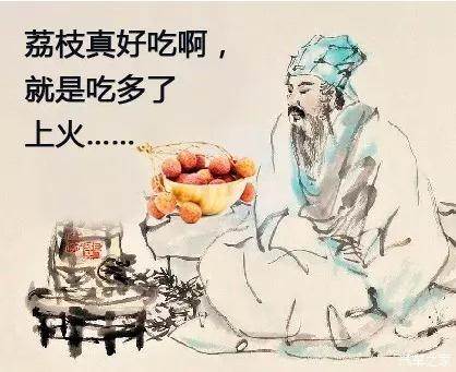 苏轼的资料简介，宋朝的苏轼的资料简介（苏东坡生平）