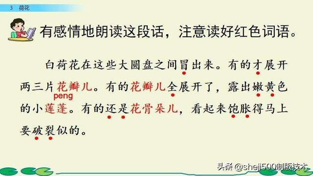 莲蓬的蓬是不是读轻声，莲蓬的蓬为什么读轻声（部编版语文三年级下册第3课《荷花》图文讲解）