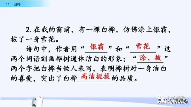 悠扬的近义词，“悠扬”的近义词是什么（四年级下册语文第11课《白桦》图文详解及同步练习）