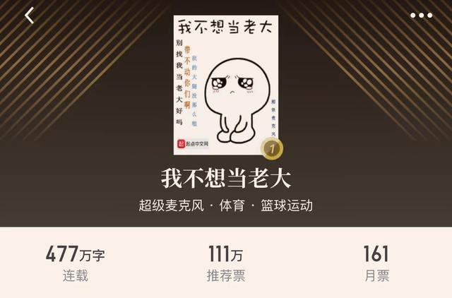 好看的篮球小说写中锋的，好看的篮球后卫小说（“八本体育篮球小说”带着热血的球场）