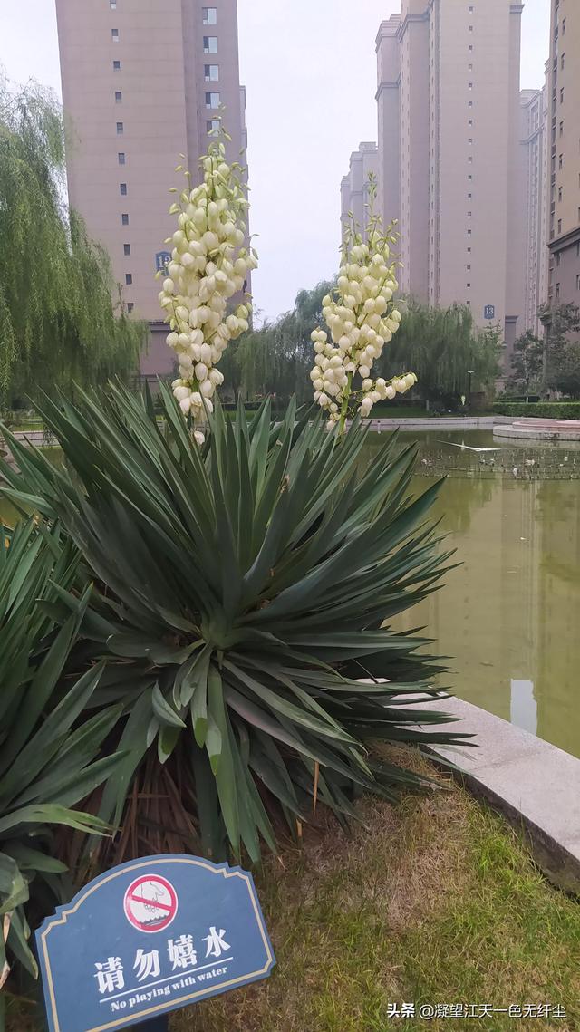 江天一色无纤尘，江天一色无纤尘是什么颜色（我言秋日胜春朝）