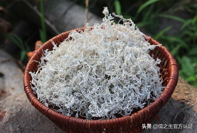 莓茶的副作用莓茶什么人不适合喝，张家界长寿村莓茶功效和作用你不知道吗