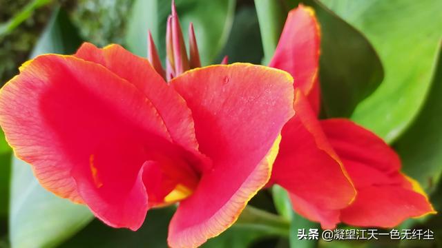 江天一色无纤尘，江天一色无纤尘是什么颜色（我言秋日胜春朝）