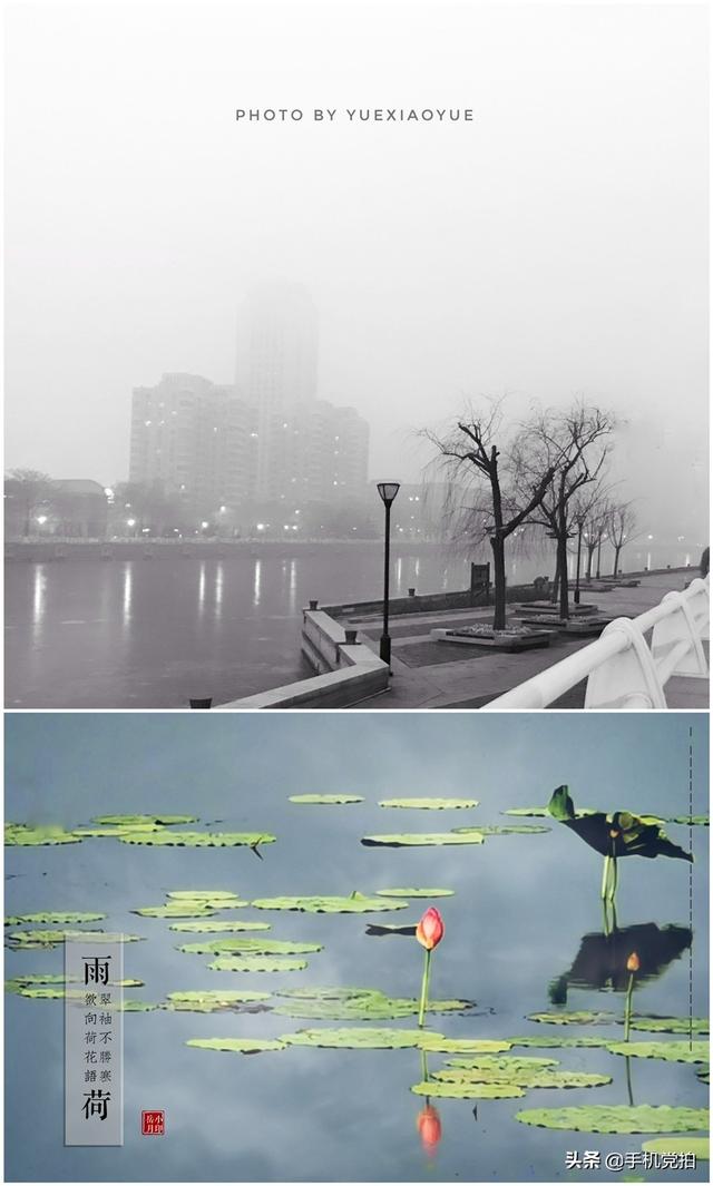 轻烟老树寒鸦什么意思，轻烟老树寒鸦前面一句是什么（不妨跟着“古诗”拍拍看）