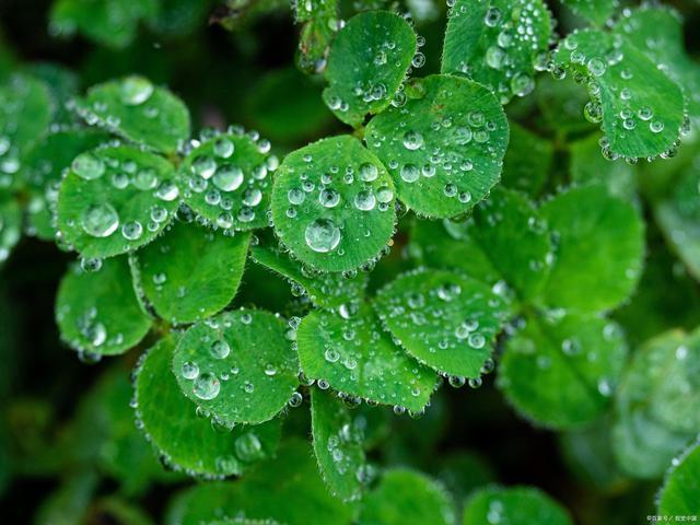 下雨感慨说说心情，下雨感慨的说说心情（下雨天心情不好的简短说说句子）