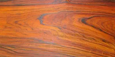 缅甸花枝是红木吗，缅甸花枝是红木吗值钱吗（18种濒危管制红木木种盘点）