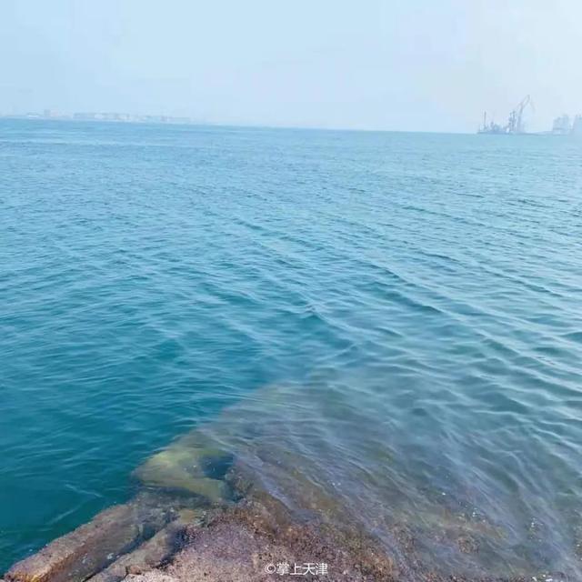 天津海边旅游景点排行榜，天津塘沽旅游景点大全（天津7处小众看海点，景色绝了）