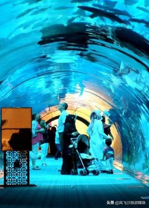 迪拜在什么地方，迪拜在哪里（你想知道的迪拜，都在这里了）