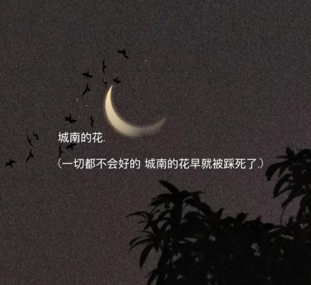 有特殊意义的网名，拥有特殊意义的网名（喜欢的人是海面上的灯塔）