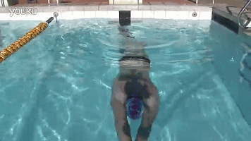 自由泳换气正确方法，自由泳应该怎样正确换气（自由泳换气的诀窍）