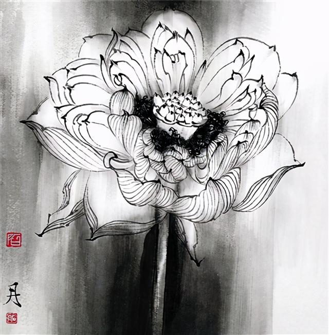 为荷是什么意思，为荷：一场与荷的生命对悟