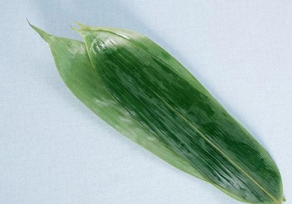 长棕子的包法粽子的包法，简单易学的长粽子包法（长粽的包法，你get到了没）