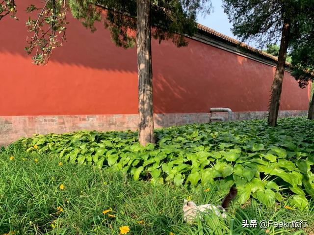 大栅栏有什么好玩的，大栅栏有什么好吃好玩的（来这些藏身胡同里的好去处一探究竟）