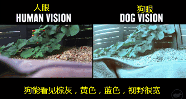 悖论是什么意思，祖父悖论是什么意思（如何解释才能不留BUG）