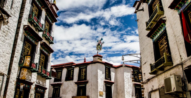 青旅是什么，青旅是什么样子的（19元一晚的青旅）